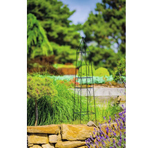 Metallobelisk växtstöd i trädgården