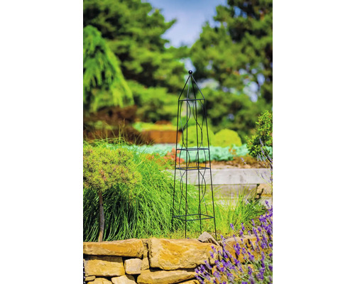 Metallobelisk växtstöd i trädgården