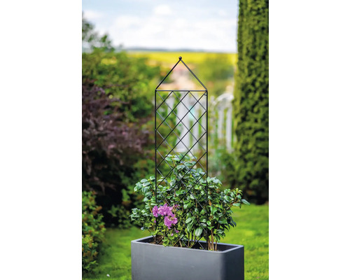 Planteringslåda med klätterhjälp i trädgården