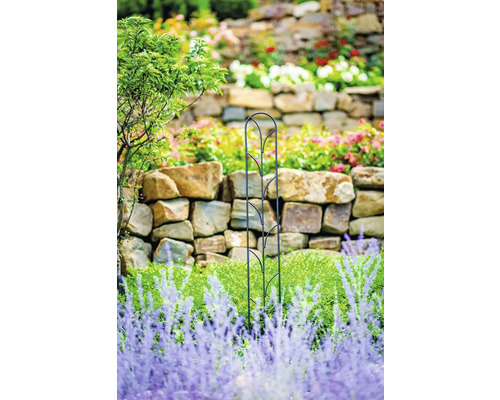 Trädgårdsscen med växtstöd framför stenmur