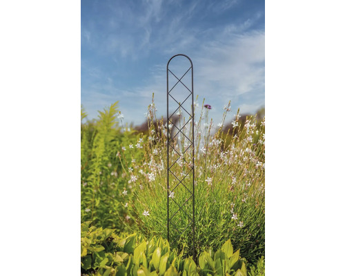 Metallväxtstöd i trädgården mellan växter