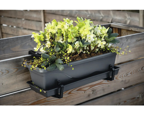 Blomlåda med blommor för montering på ett staket