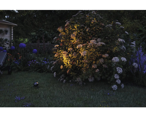 Trädgård med gräsmatta, buskar och trädgårdslampa