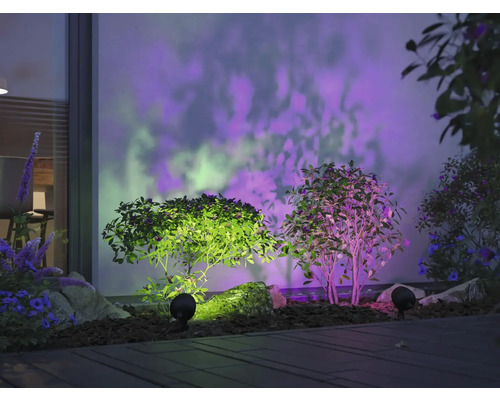 Trädgård med växter och utomhusbelysning för stämningsfull atmosfär.