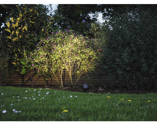 Trädgårdsbelysning med buske och gräsmatta