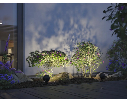 Trädgårdsscen med belysning, växter och en husvägg