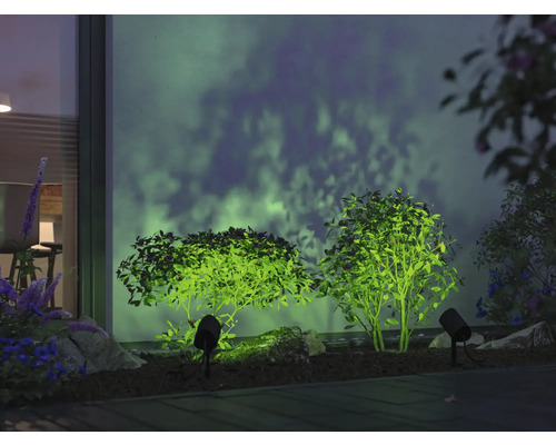 Upplyst trädgård med buske och strålkastare