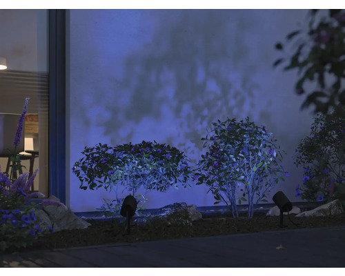 Trädgårdsbelysning med buske och strålkastare