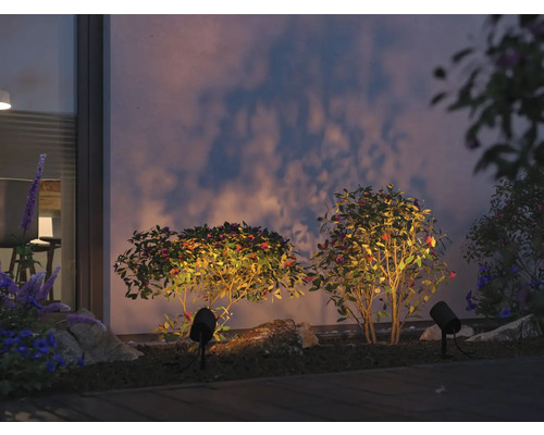 Uteplats med växter och trädgårdsstrålkastare