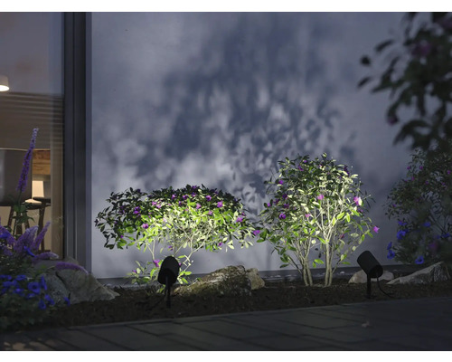 Scen med trädgårdsbelysning för att framhäva växter utomhus