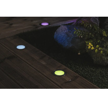 Scen med flera LED-markspotlights i en trädgård.