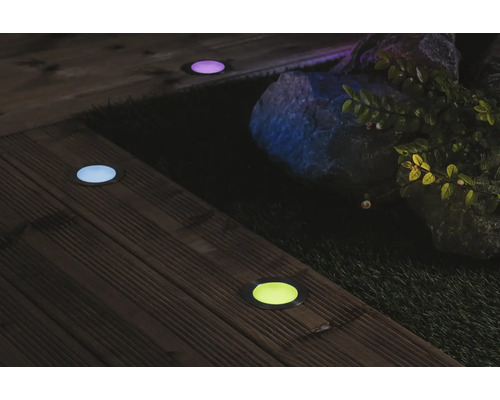 Scen med flera LED-markspotlights i en trädgård.