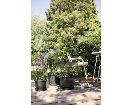 Scen med tre planterade blomkrukor på en träterrass i trädgården.