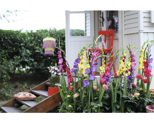 Dekorativ trädgård med gladioler, sittplatser och trappor