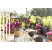 Dekorerad terrass med bord, stolar, blommor och drycker