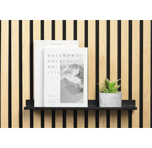 Dekorativ väggbeklädnad med hylla, böcker och växt som dekoration