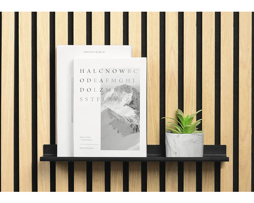 Dekorativ väggbeklädnad med hylla, böcker och växt som dekoration