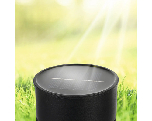 Solarlampa för trädgården