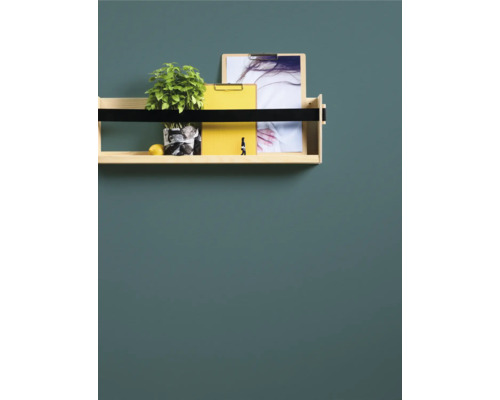 Vägghylla i trä med växt, citron och dokument