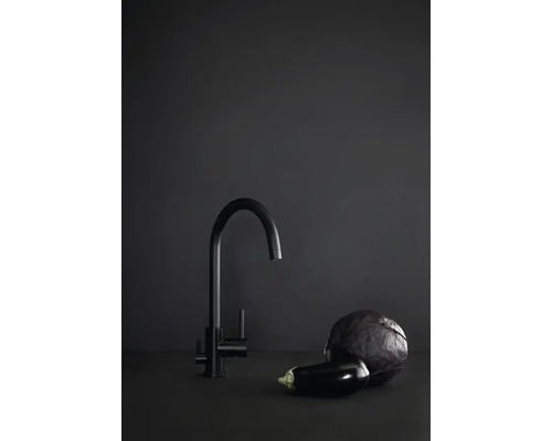 Svart köksblandare bredvid auberginer och rödkål