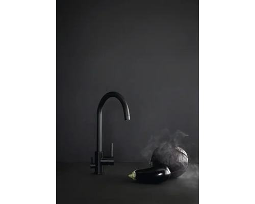 Köksblandare bredvid aubergine och rödkål