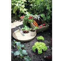 Grönsaksträdgård med rädisor, morötter, sallad och planteringsfat
