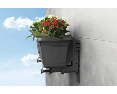 Grå blomlåda med väggfäste och färgglada blommor