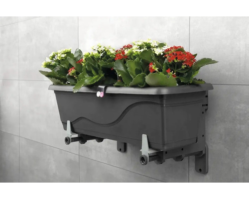 Väggmonterad blomlåda med röda och vita blommor