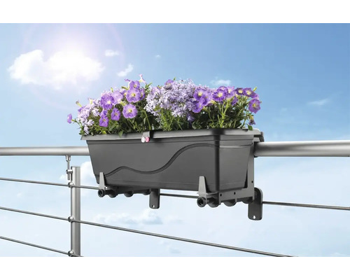 Blomlåda med lila blommor på balkongräcke