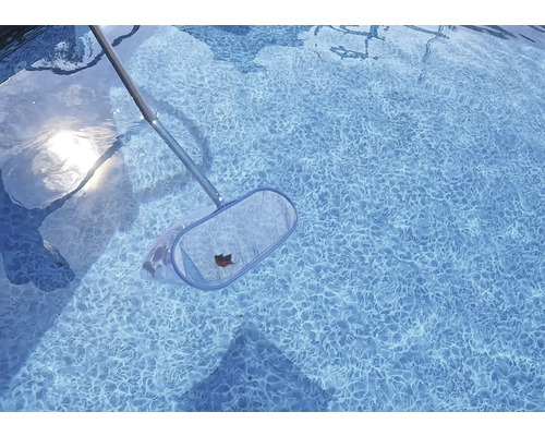 Pool med lövnät för att ta bort löv