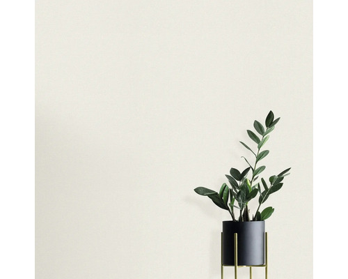 Zamioculcas krukväxt i en kruka på ett stativ