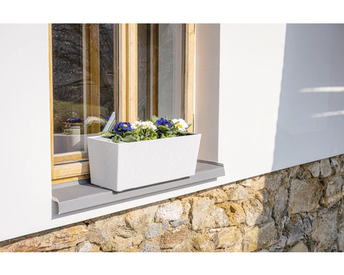 Blomlåda med blommande primula på fönsterbrädan