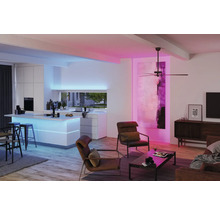 LED-stripe PAULMANN MaxLED 1000 COB Strip 2,5m RGBW