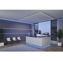 LED-stripe PAULMANN MaxLED 1000 COB Strip 2,5m RGBW