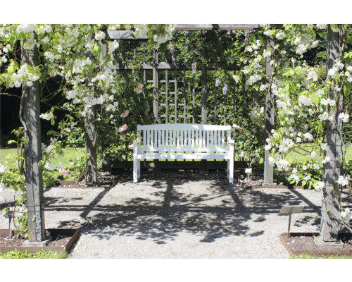 Vit trädgårdsbänk under en pergola bevuxen med blommor