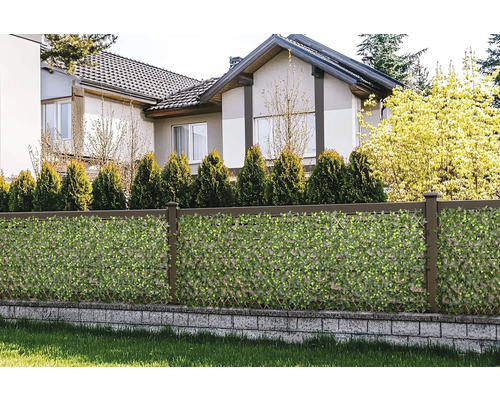 Trädgårdsstaket med insynsskyddsmatta och hus i bakgrunden