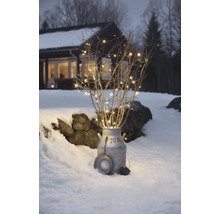 Dekorativa grenar med ljusslinga i en mjölkkanna i snön