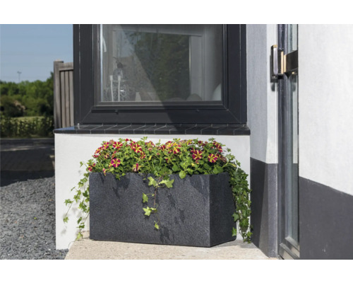 Blomlåda med stående petunior framför ett fönster