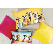 Flera dekorativa kuddar med djurtryck och olika färger