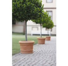 Blomkruka GELI Palermo plast Ø120x90cm terrakotta