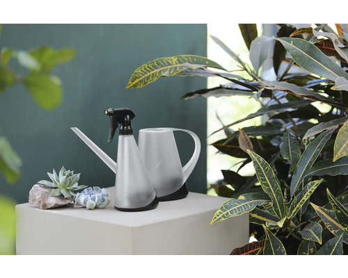 Vattenkanna och växtspruta bredvid suckulenter