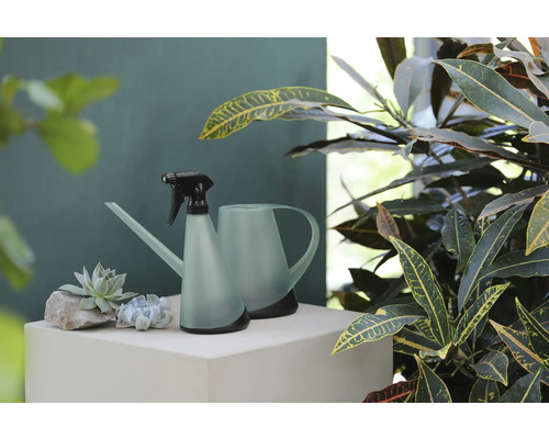 Vattenkanna och sprayflaska för växter på en piedestal bredvid krukväxter