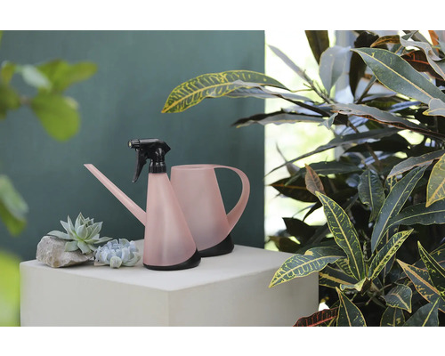 Vattenkanna och sprayflaska för växter på en piedestal