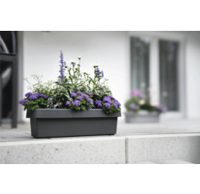 Grå blomlåda med olika växter på en stentrappa