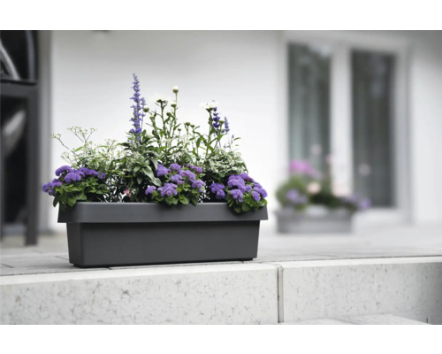 Grå blomlåda med olika växter på en stentrappa