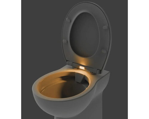 Toalett med öppet toalettlock och integrerad belysning