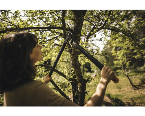 Kvinna beskär ett träd med en växelgrenssax.