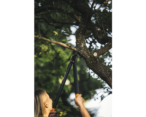 En kvinna beskär en trädgren med en grensax.