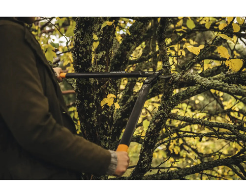 En person beskär grenar på ett träd med en Fiskars grensax.