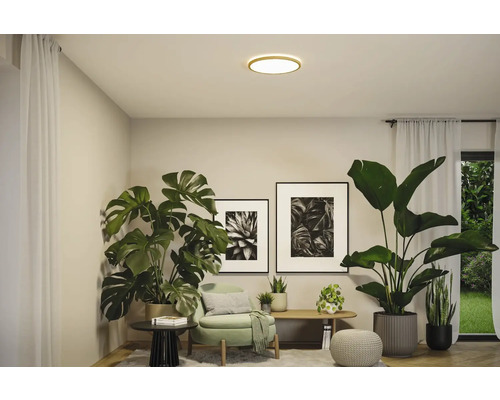 Vardagsrum med taklampa, fåtöljer och krukväxter